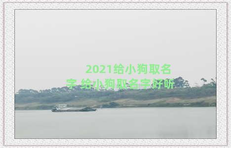 2021给小狗取名字 给小狗取名字好听